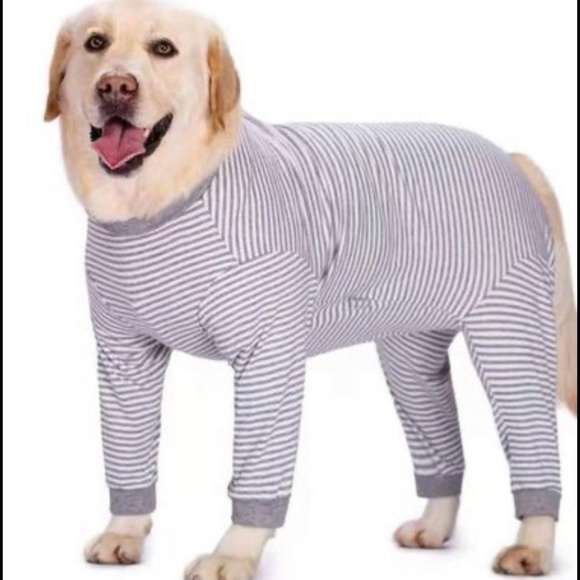 Recovery dog suit - Picture 1 of 4